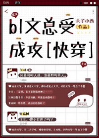 布朗王子熟茶茶叶礼盒